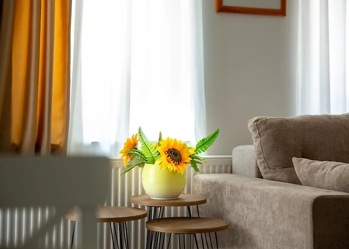 Apartman Suncokret Sabac